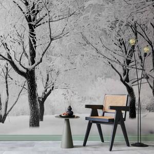 Carta da parati moderna Alberi - paesaggio invernale