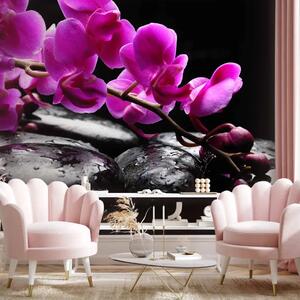 Carta da parati moderna Composizione vegetale con legno - fiori di orchidea su sfondo nero