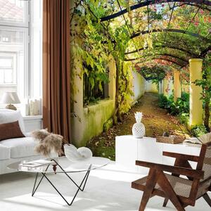 Carta da parati moderna Pergola