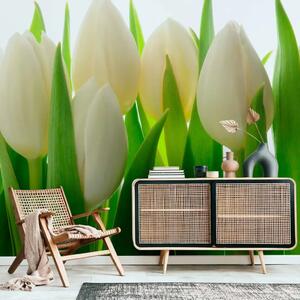 Carta da parati Tulipani bianchi - motivo floreale naturale con verde energico
