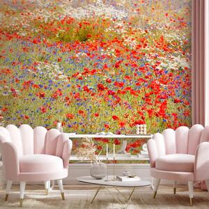 Carta da parati Prato di papaveri e camomilla... - paesaggio con erba e fiori colorati