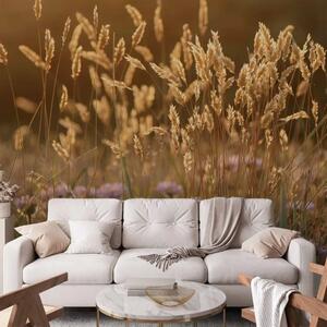 Carta da parati moderna Campi di Grano - paesaggio di fiori fioriti con fiori delicati al sole