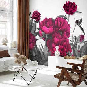Carta da parati moderna Prato Rigoglioso - fiori con colori energici su sfondo uniforme