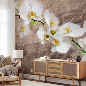 Carta da parati Orchidee - fiori bianchi su sfondo grigio dalla trama irregolare
