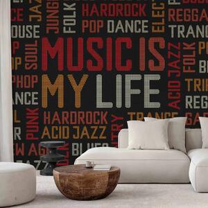 Carta da parati La musica è la mia vita - scritte di diversi generi musicali