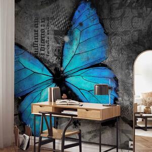 Carta da parati moderna Bellezza delle farfalle - farfalla blu su sfondo grigio grafite