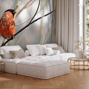 Carta da parati Pettirosso nella foresta - uccello colorato su ramo d’albero