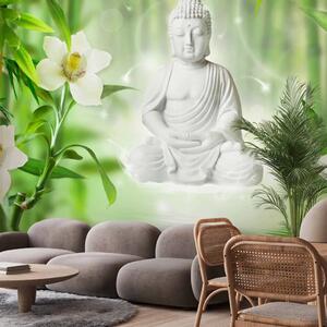Carta da parati moderna Buddha e la natura