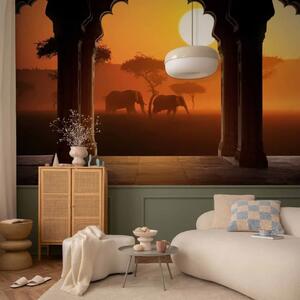 Carta da parati Ascoltare l’Africa - paesaggio della savana con elefanti al tramonto
