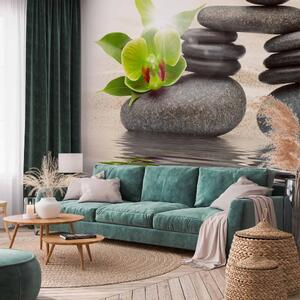 Carta da parati moderna Cultura asiatica del feng shui - pietre zen su una superficie d'acqua