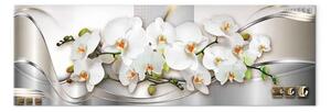 Quadro Orchidea II