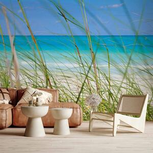 Carta da parati Viaggio tropicale - spiaggia dorata e mare azzurro su sfondo cielo