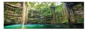 Quadro Tesoro nascosto della natura