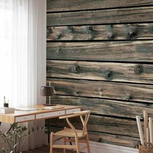 Carta da parati Assi rustici - sfondo a motivo di legno freddo in tonalità grigio