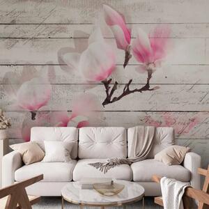 Carta da parati Delicatezza delle magnolie - fiore bianco-rosato su sfondo di assi