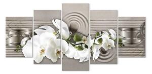 Quadro moderno Orchidea estiva