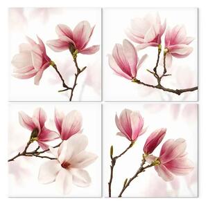 Quadro su tela Rosa romantico