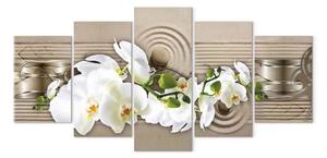 Quadro moderno Fiori della sabbia
