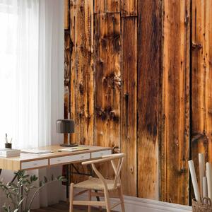 Carta da parati Calore rustico - composizione a motivo di assi di legno marrone