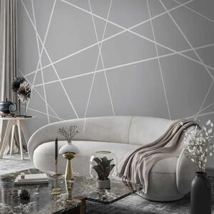 Carta da parati moderna Ragnatela moderna - linee geometriche bianche su sfondo grigio