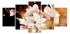 Quadro su tela Illuminazione (Magnolia)