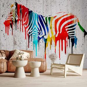 Carta da parati Safari urbano - zebra colorata street art su muro di cemento