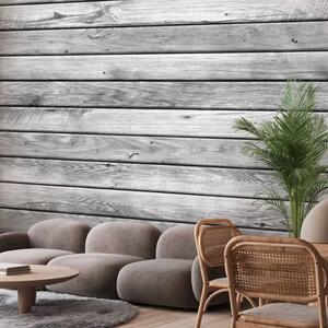 Carta da parati moderna Alba di piombo - muro di assi di legno grigio