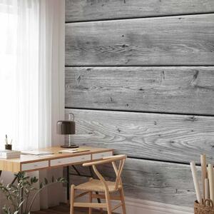 Carta da parati moderna Regno grigio - muro di assi di legno grigio