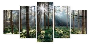 Quadro contemporaneo Foresta selvaggia da favola