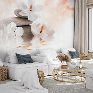 Carta da parati Oriente - motivo di fiori di magnolia con pietre zen