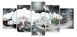 Quadro su tela Orchidea magica