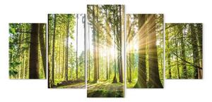 Quadro moderno Regno della foresta
