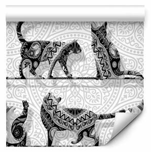 Tappezzerie La giornata di un gatto