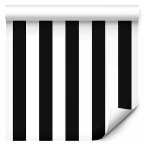 Tappezzerie Zebra: bianco e nero