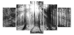 Quadro moderno Foresta dei ricordi