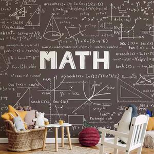 Carta da parati Matematica - Lavagna con scritte e formule matematiche per una stanza
