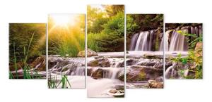 Quadro Cascata della foresta
