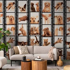 Carta da parati design In una cornice di animali