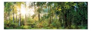 Quadro moderno Rifugio nella foresta