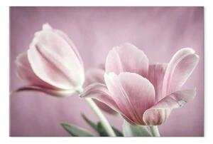 Quadro su tela Romantici tulipani