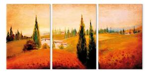 Quadro su tela Valle nascosta