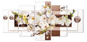 Quadro moderno Installazione floreale (5 pezzi) - orchidee su sfondo geometrico