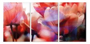 Quadro contemporaneo Tulipani d'amore (3 pezzi) - fiori primaverili colorati da vicino