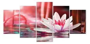 Quadro Loto amaranto (5 pezzi) - fiore rosa su sfondo d'acqua rossa