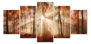 Quadro contemporaneo Nebbia della foresta