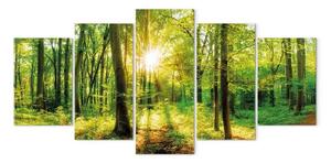 Quadro contemporaneo Storia della foresta (5 pezzi) - luce solare tra le cime degli alberi