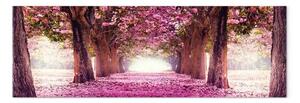 Quadro su tela Giardino fucsia