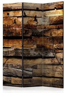 Paravento separè Riflesso della natura - texture legno con elementi di uccelli