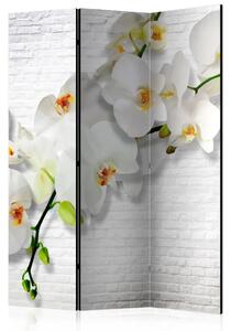 Paravento separè Orchidea urbana - orchidee bianche su texture di mattoni