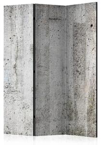 Paravento Imperatore grigio - texture architettonica in cemento grigio